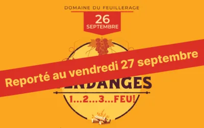 Vendanges 1…2…3… Feu!